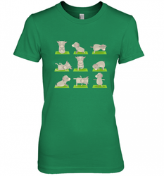 Funny Goat Yoga Tshirts Yoga Goat On Mat Cool Gifts Women's Premium T-Shirt